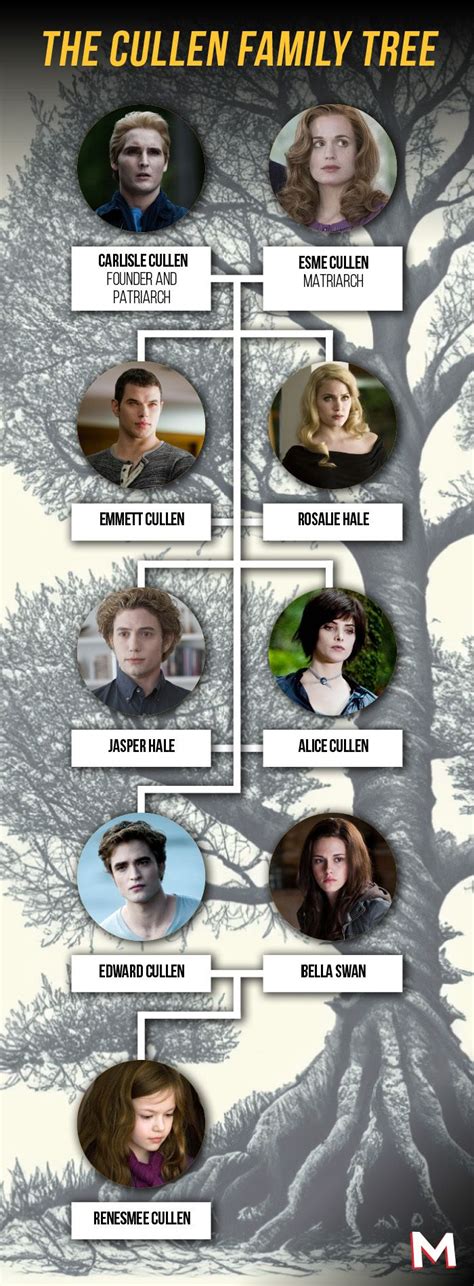 renesmee older|Twilight's Cullen Family Tree and Character Ages, Explained.